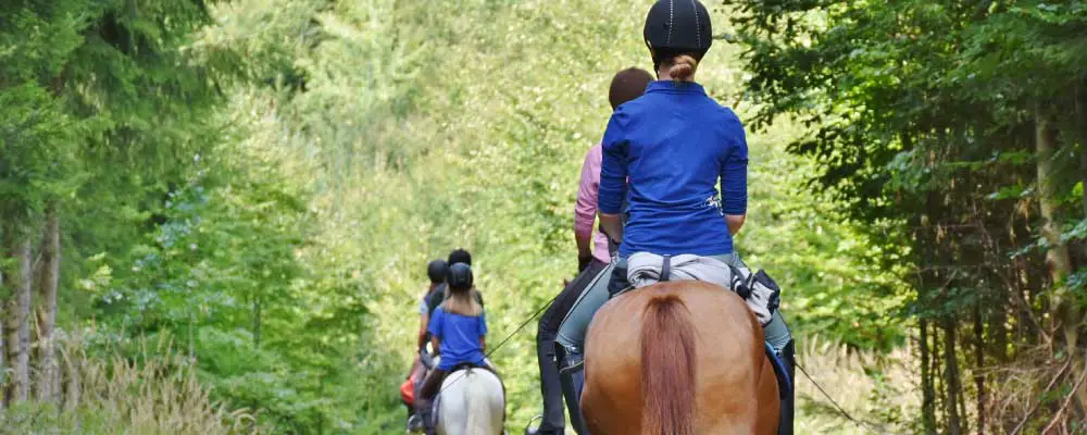 Where to put your phone when riding a horse