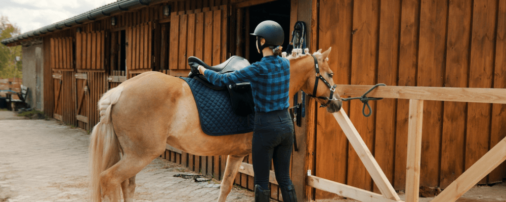 Saddle Pad vs Blanket What's the difference