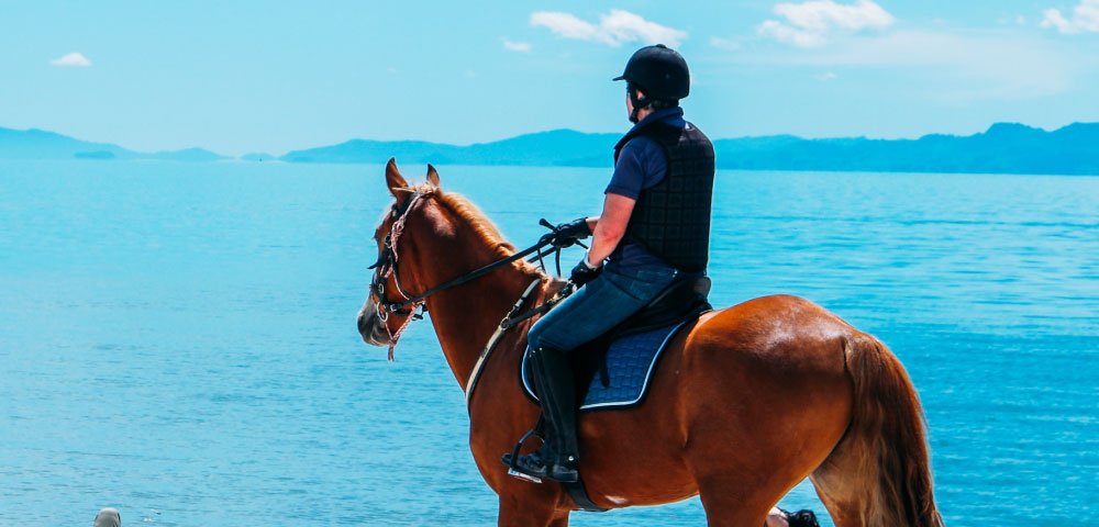 summer-horse-riding-gear