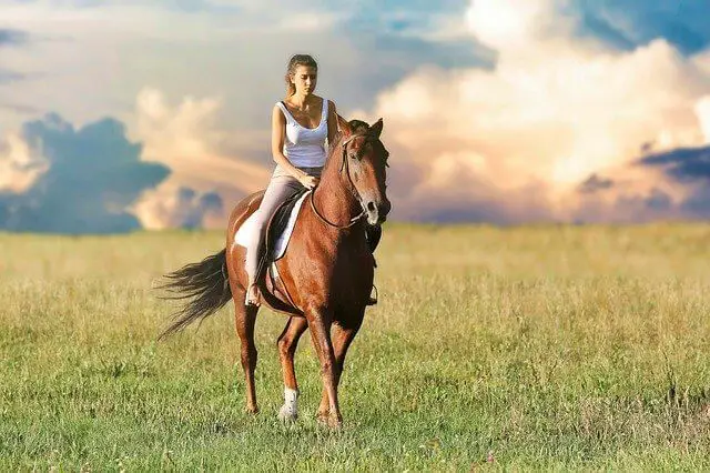 Can I wear leggings horseback riding