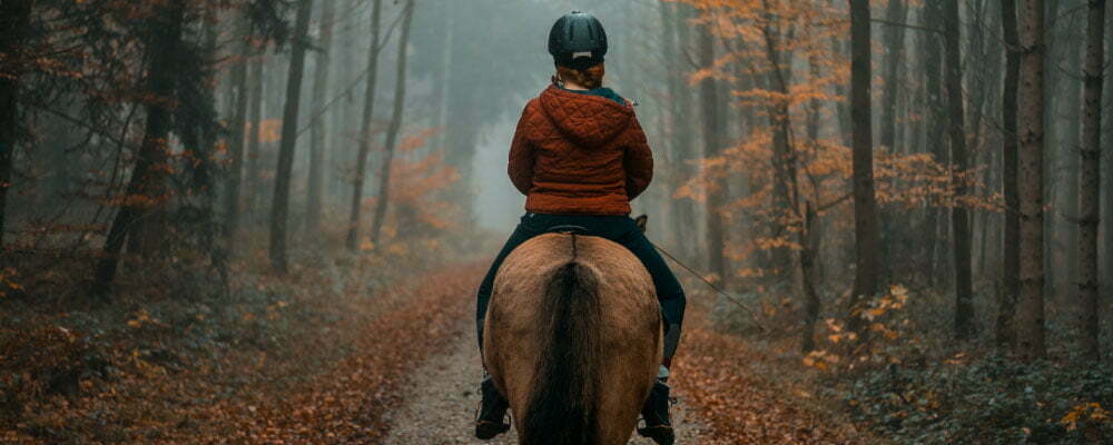 best-horse-breed-for-trail-riding