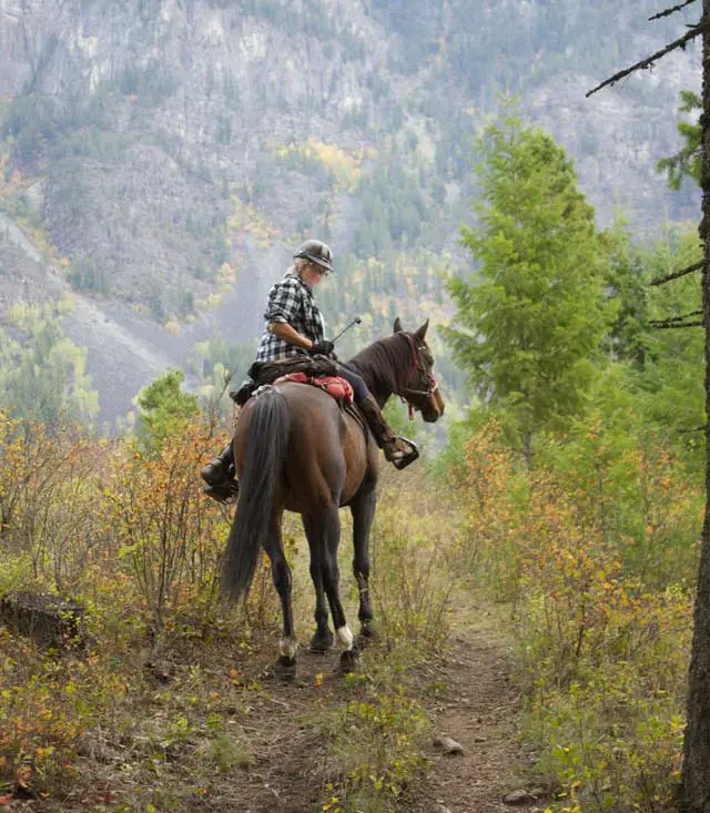 best cinch for trail riding