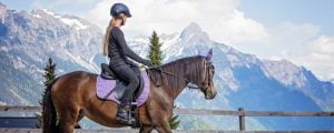 horseback-riding-for-beginners