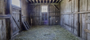 How To Get Rid Of Rats In Horse Barn