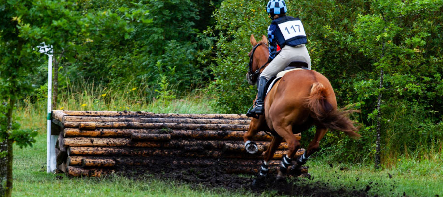 Best Cross Country Boots For Horses