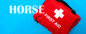 Best Equine First Aid Kit