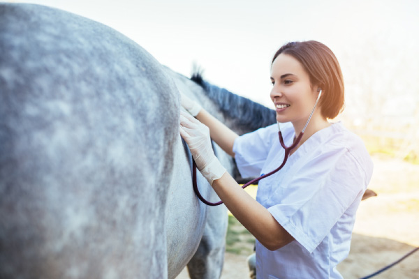 Copd in Horses Symptoms