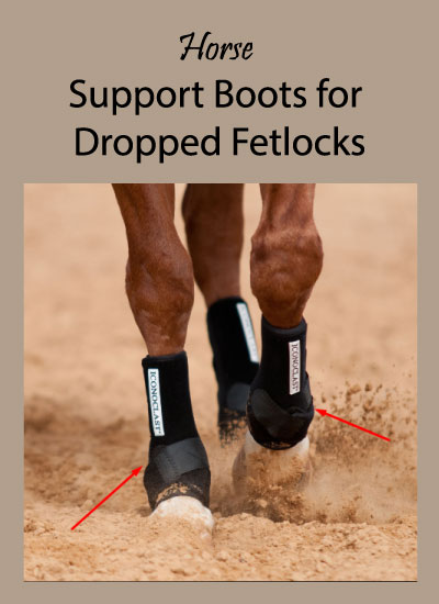 horse support boot for fetlock