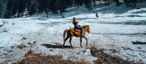 How Cold Is Too Cold To Ride A Horse
