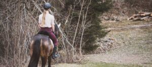 How Often Should You Ride Your Horse