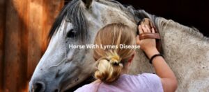Can You Ride A Horse With Lymes Disease