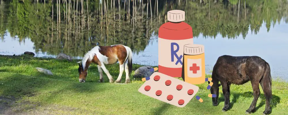 What Vitamin Deficiency Causes Charlie Horses